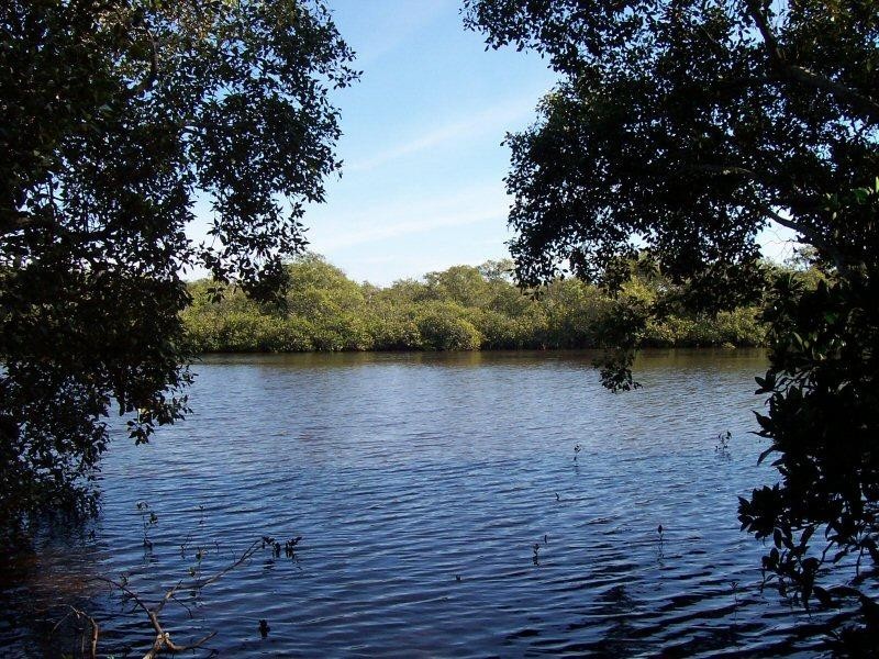 17 Pacific Street, New Brighton NSW 2483