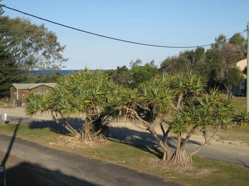 1 Beach Avenue, South Golden Beach NSW 2483