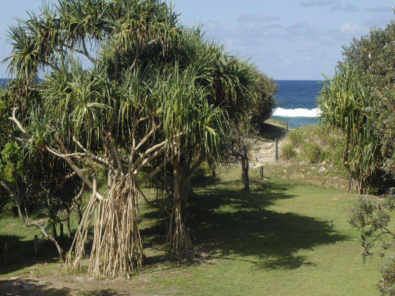 20 RIVER STREET, New Brighton NSW 2483