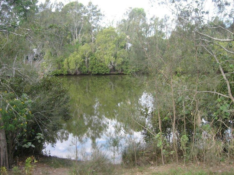 17 Elizabeth Avenue, South Golden Beach NSW 2483