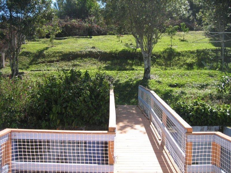 36 Station Street, Burringbar NSW 2483