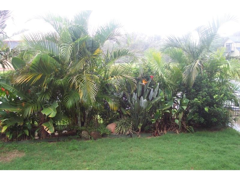 41 CUDGERA CREEK ROAD, Burringbar NSW 2483