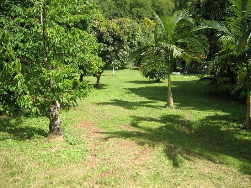 138 Ophir Glen Road, Burringbar NSW 2483