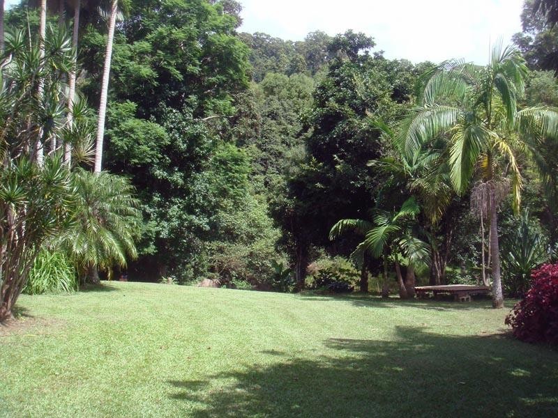 138 Ophir Glen Road, Burringbar NSW 2483