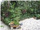 25 PETER STREET, South Golden Beach NSW 2483