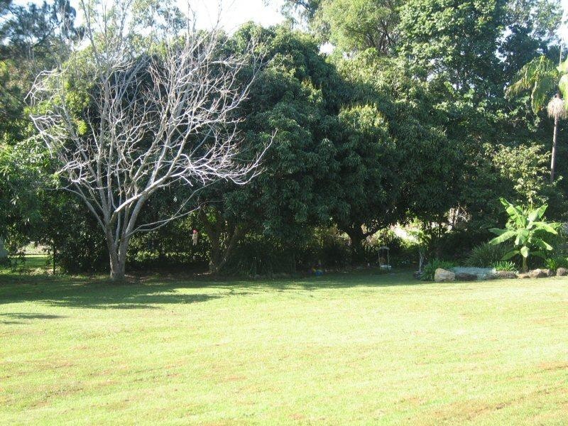 3 Yackatoon Court, Ocean Shores NSW 2483