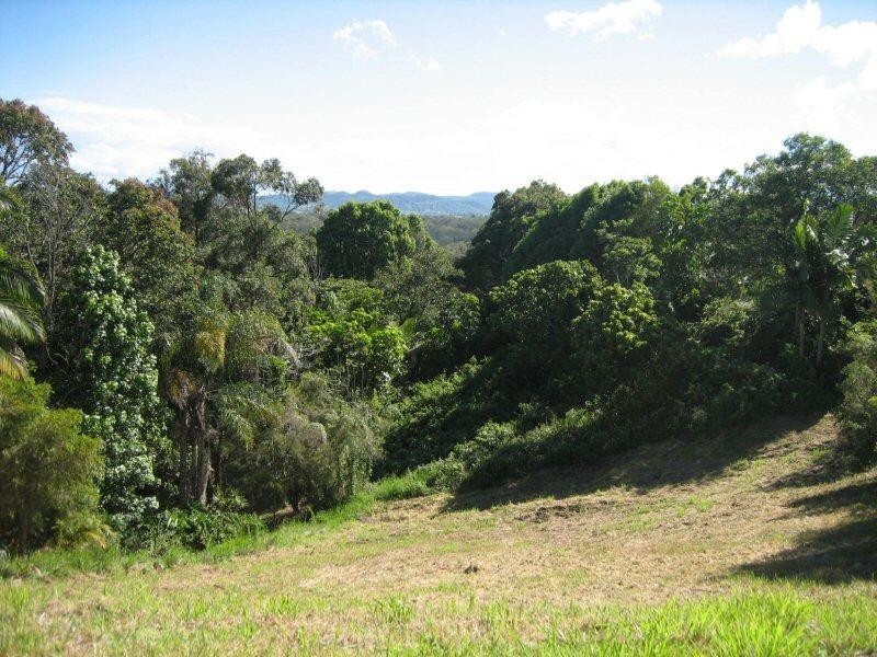 21 Warrambool Road, Ocean Shores NSW 2483