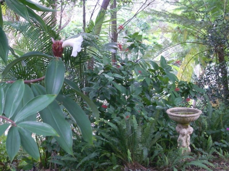 4 Gilba Avenue, Ocean Shores NSW 2483