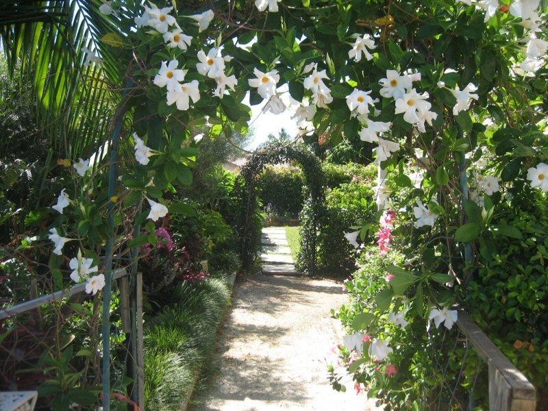 5 Wirruna Avenue, Ocean Shores NSW 2483