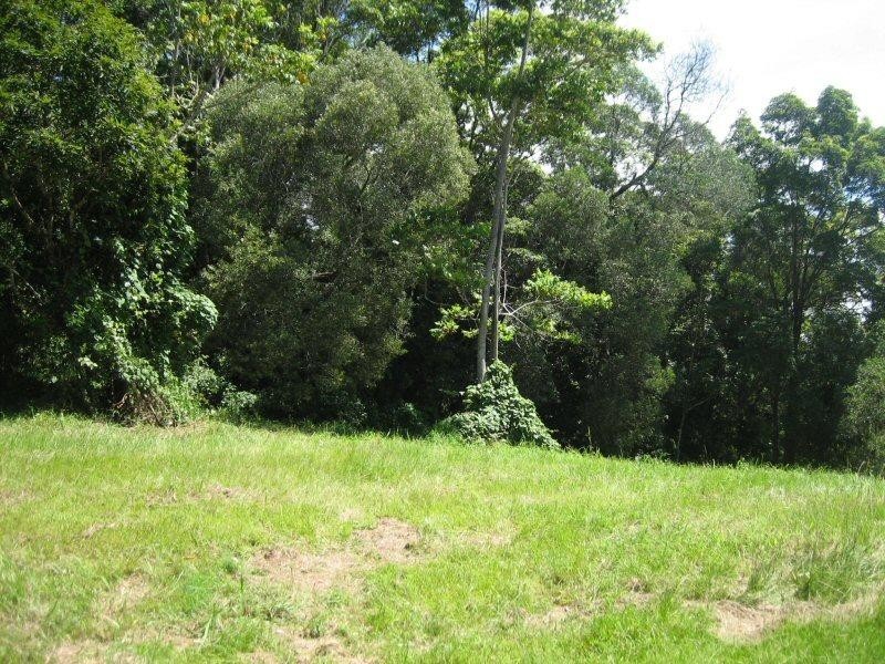 1 Warrambool Road, Ocean Shores NSW 2483