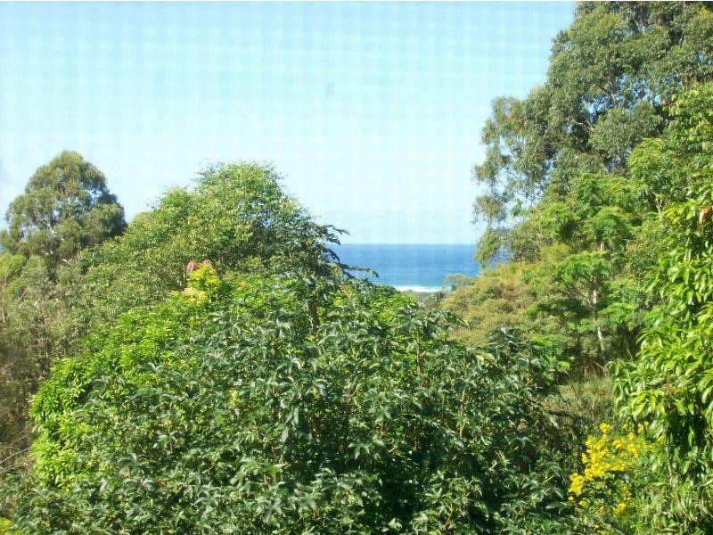 20 Warrambool Road, Ocean Shores NSW 2483