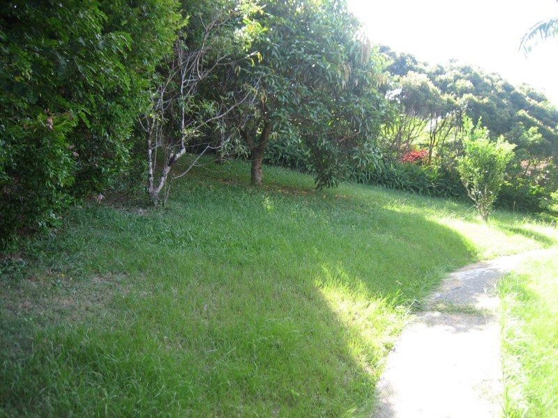 31 Rajah Road, Ocean Shores NSW 2483