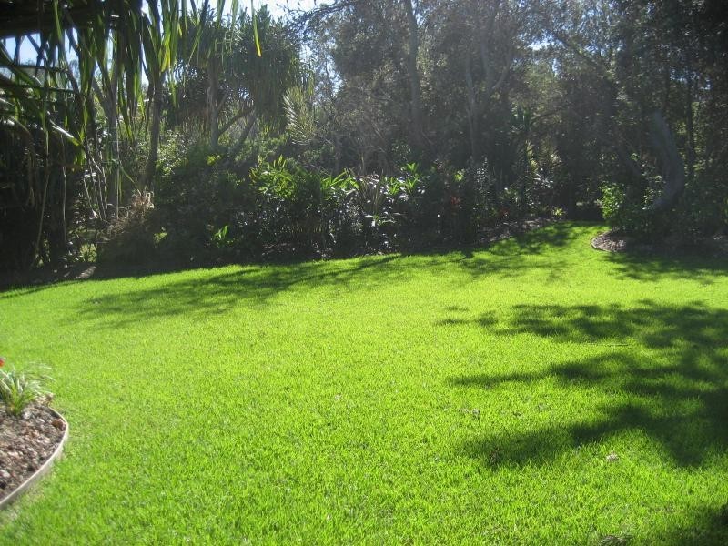 8 Gaggin Street, New Brighton NSW 2483
