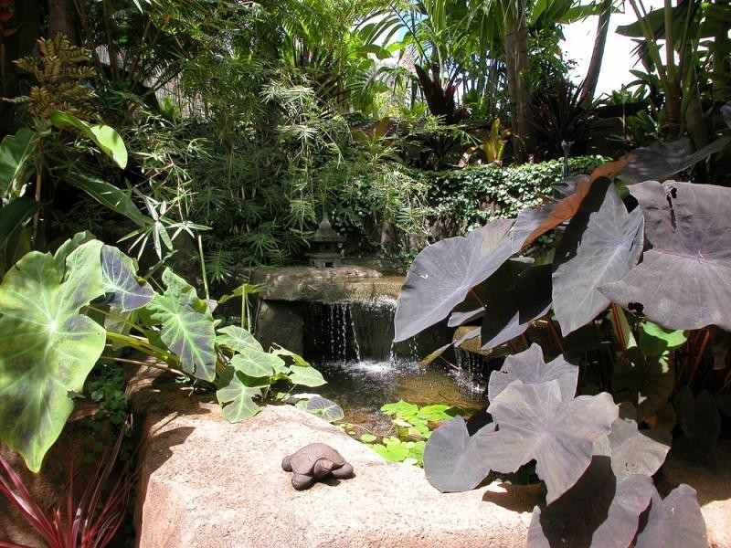 42 Tongarra Drive, Ocean Shores NSW 2483