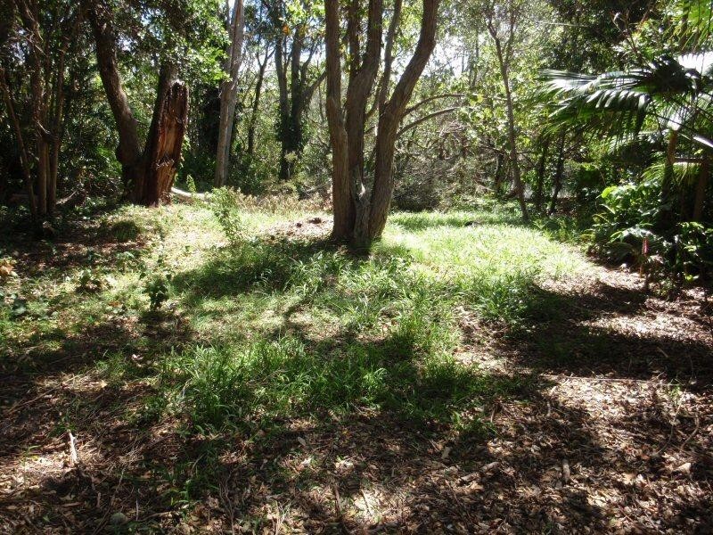 2 Short Street, New Brighton NSW 2483