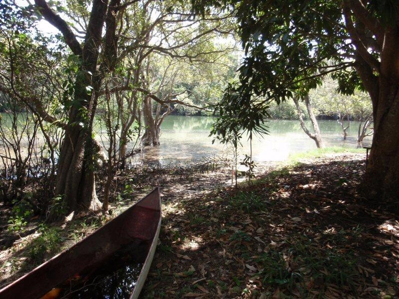 2 Short Street, New Brighton NSW 2483