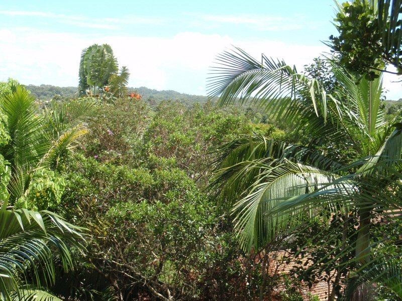 8 Kiyung Court, Ocean Shores NSW 2483