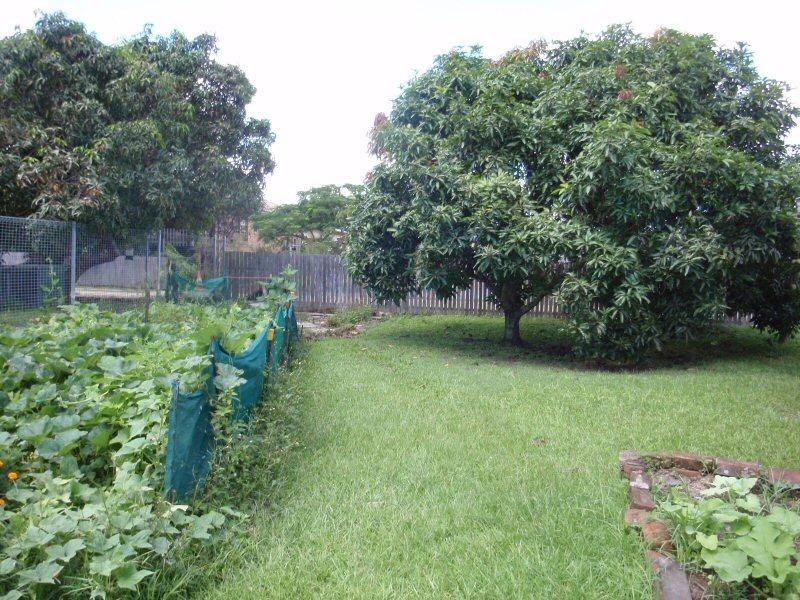 19 New City Road, Mullumbimby NSW 2482