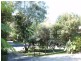 103 Balemo Drive, Ocean Shores NSW 2483