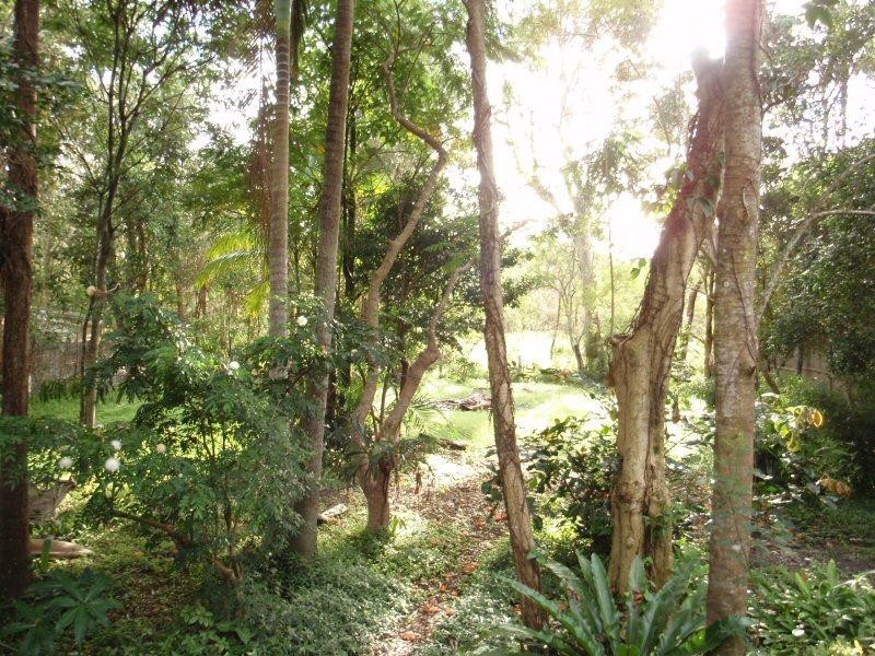 66 River Road, New Brighton NSW 2483