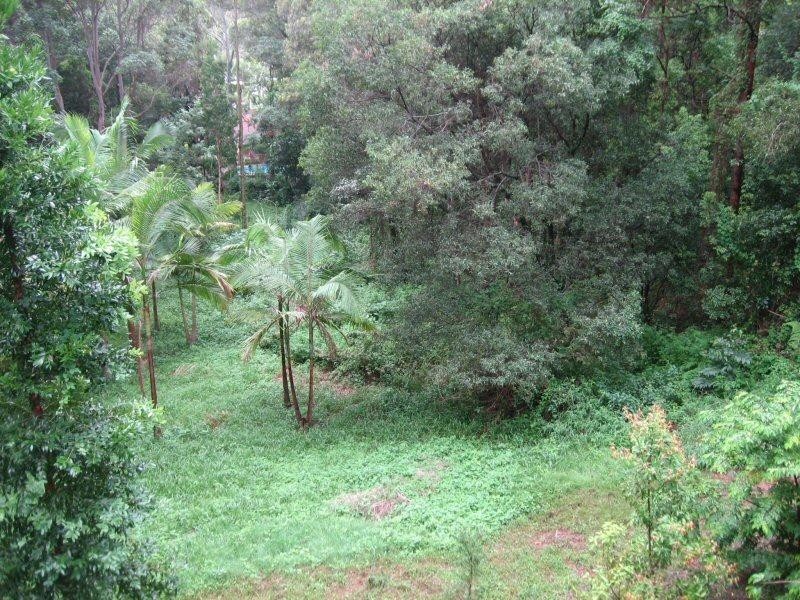 31 Matong Drive, Ocean Shores NSW 2483