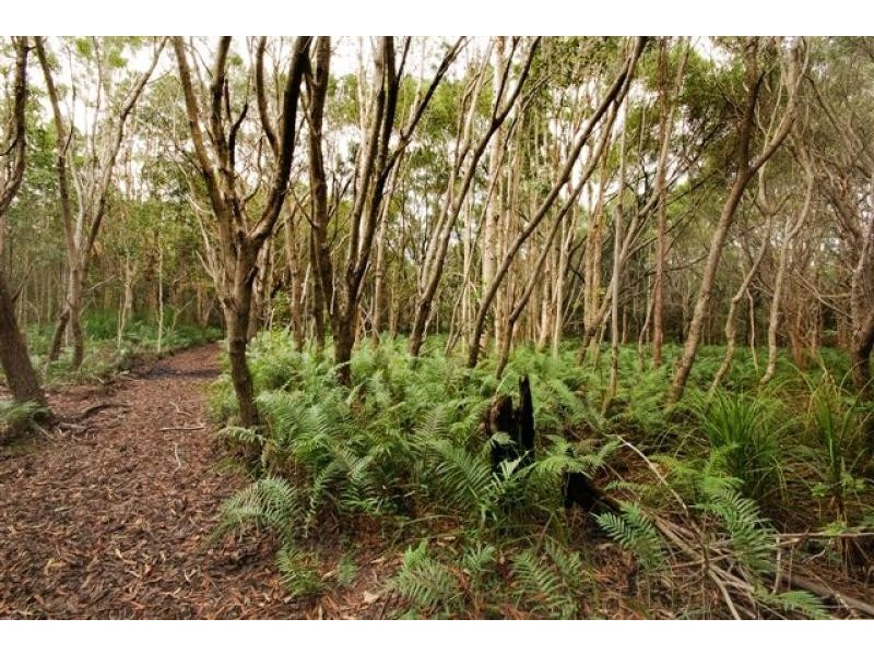 100 Redgate Road, South Golden Beach NSW 2483