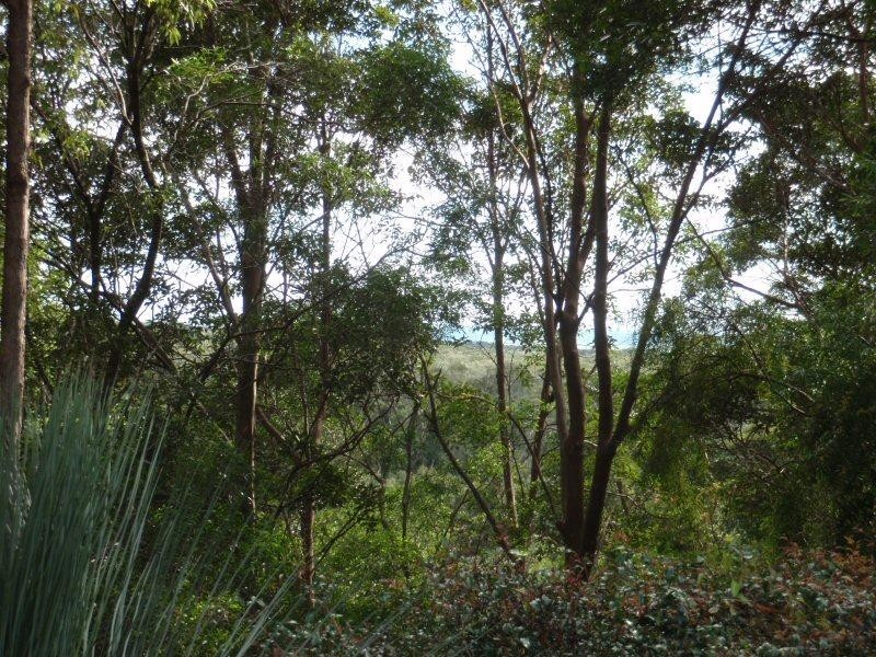 25 Flinders Way, Ocean Shores NSW 2483