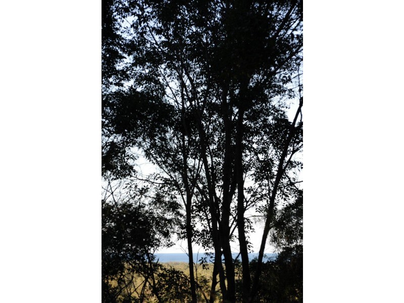 25 Flinders Way, Ocean Shores NSW 2483