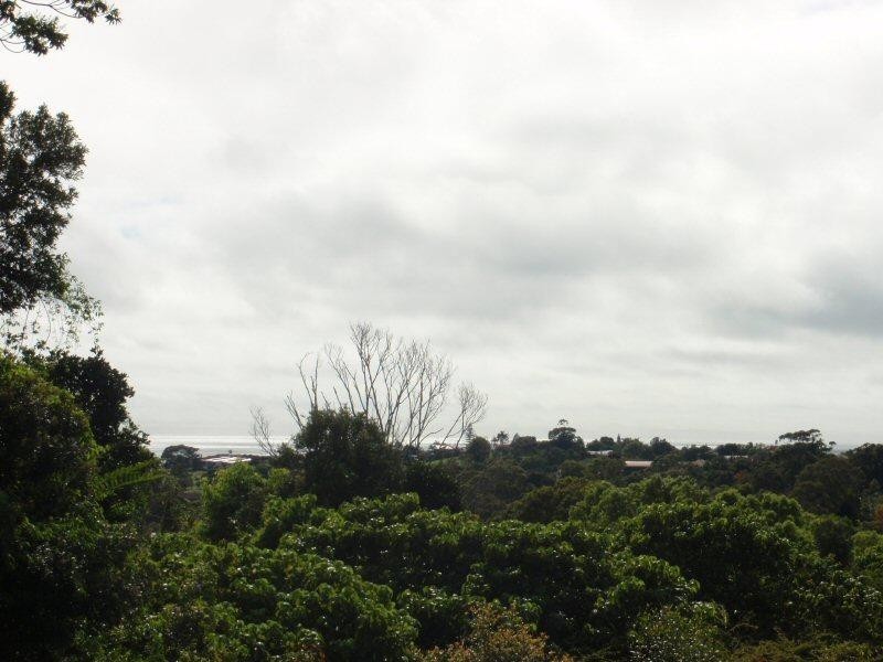 7 Tongarra Drive, Ocean Shores NSW 2483