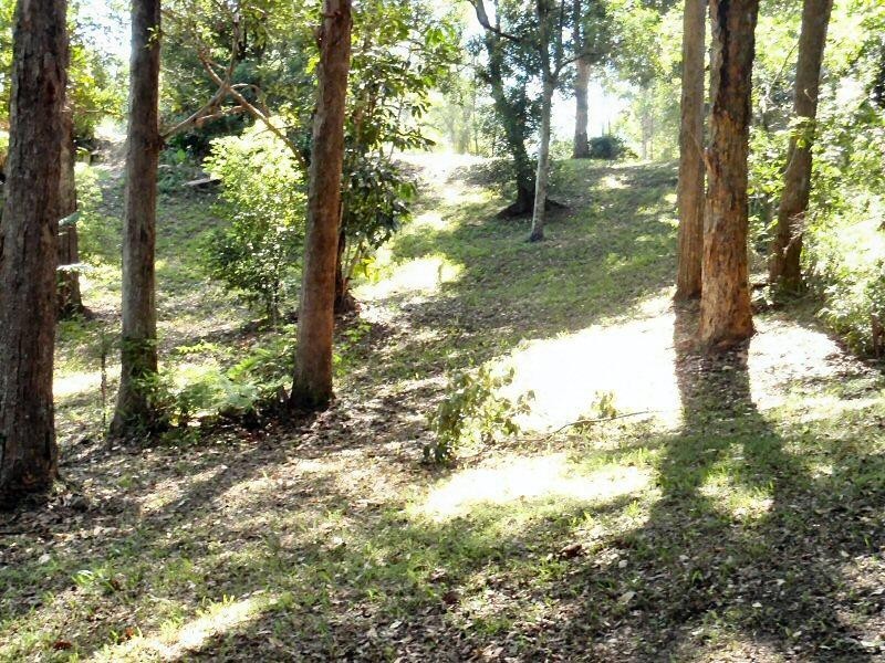 32 Matong Drive, Ocean Shores NSW 2483