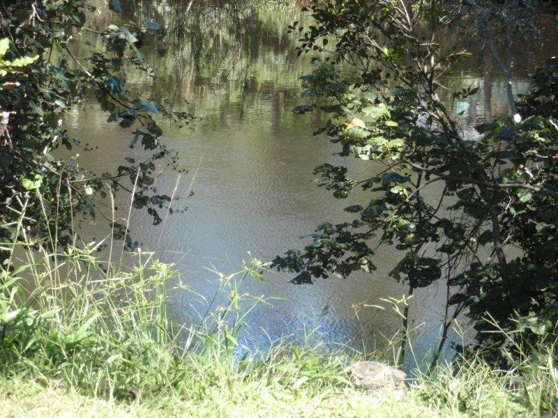 37 Peter Street, South Golden Beach NSW 2483