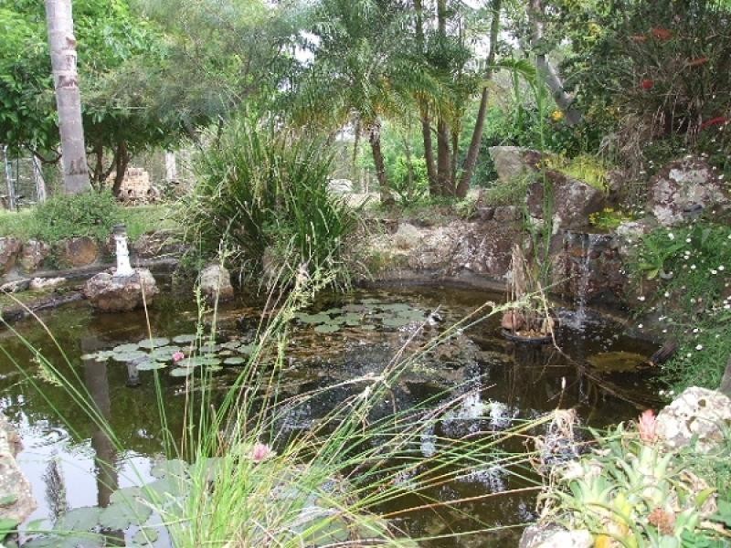 Wingham NSW 2429