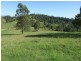 Wang Wauk NSW 2423