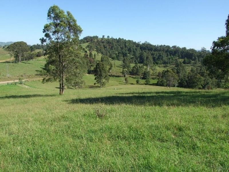 Wang Wauk NSW 2423