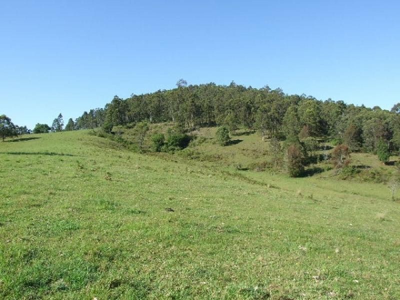 Wang Wauk NSW 2423