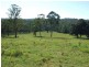 Wang Wauk NSW 2423