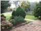 Wingham NSW 2429