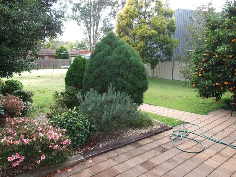 Wingham NSW 2429