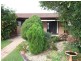 Wingham NSW 2429