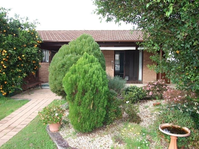 Wingham NSW 2429