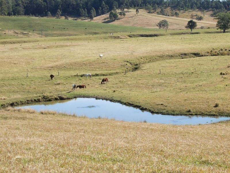 Lansdowne NSW 2430
