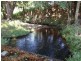 Lansdowne NSW 2430