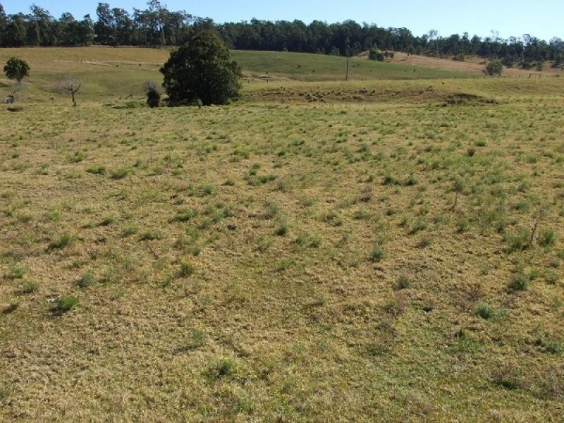 Lansdowne NSW 2430
