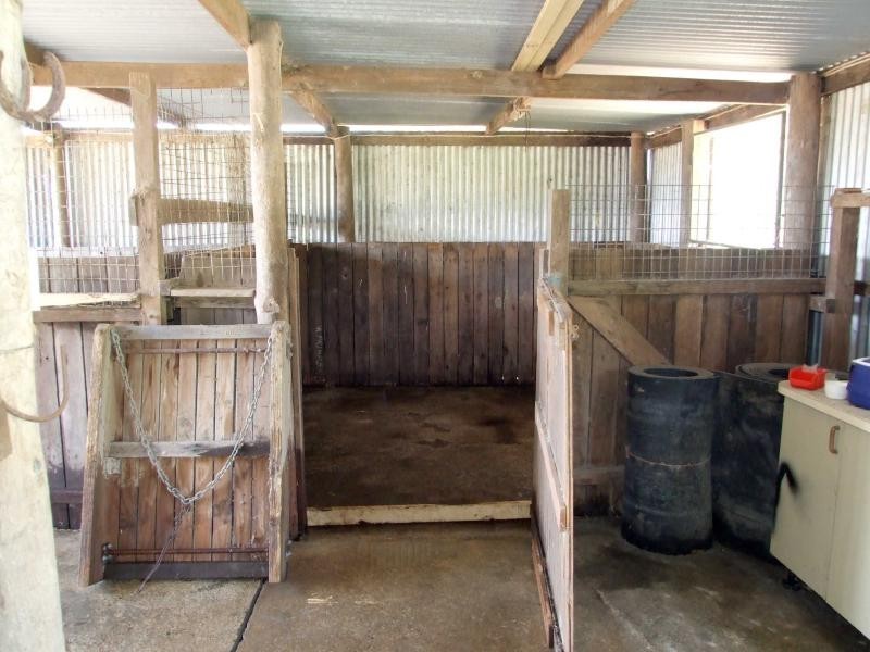 8 Oak Road, Kundle Kundle NSW 2430