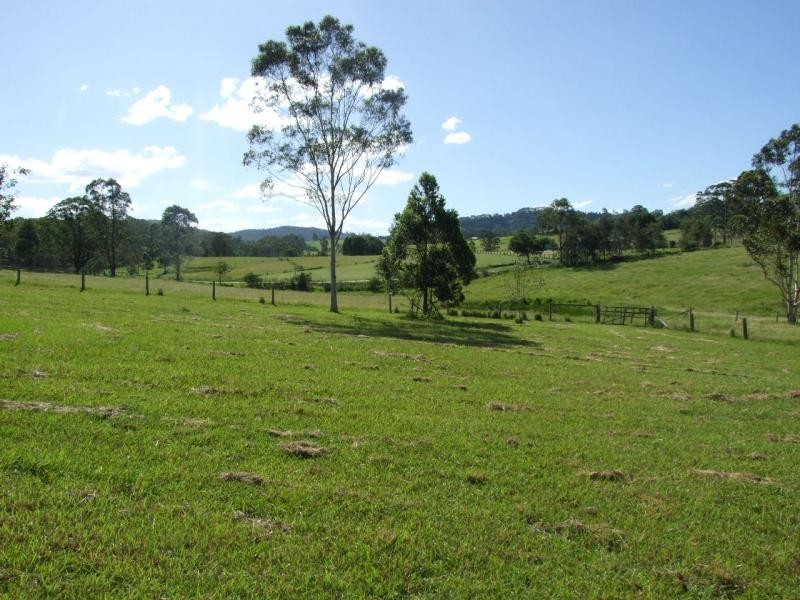 Killabakh NSW 2429