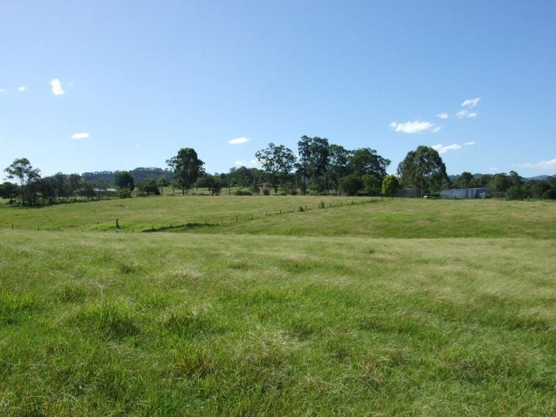 Killabakh NSW 2429