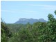 Killabakh NSW 2429