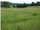 Hillville NSW 2430