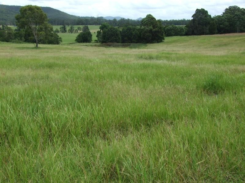 Hillville NSW 2430