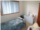 Wingham NSW 2429